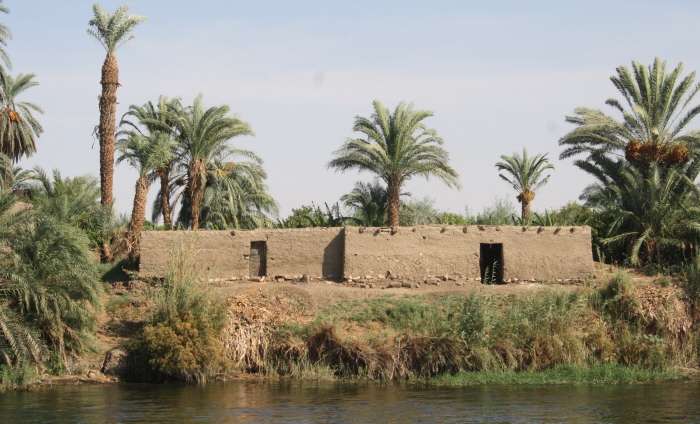 En Dahabiya, por el Nilo, con otros ojos - Blogs de Egipto - 3er.Dia. La fiesta Aid el-Fitr (27)